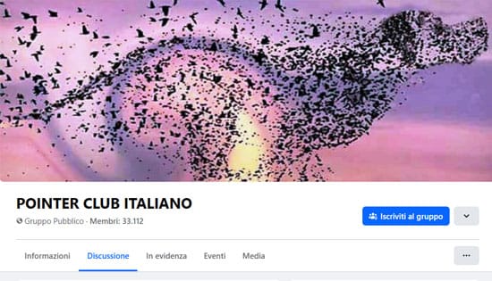 Pointer Club Italiano