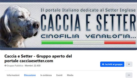 Caccia e Setter