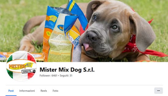 Mister Mix Dog S.r.l.
