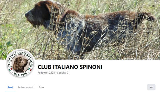 Club Italiano Spinoni